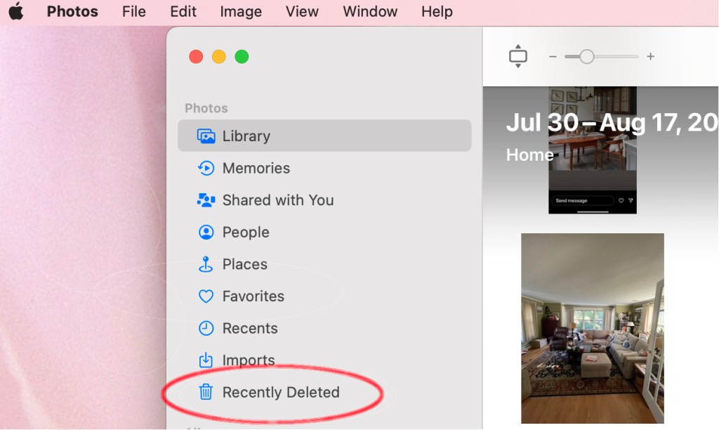 screenshot of Apple Photos program highlighting the recently deleted trash can