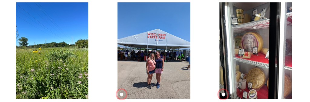 Screenshot of group of photos with favorite indicated by heart in corner to photo